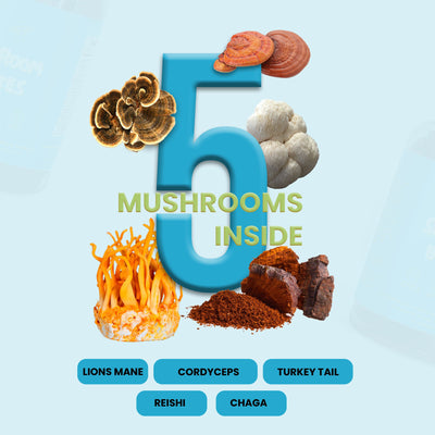 Super Mushroom Daily Gummies - Focus